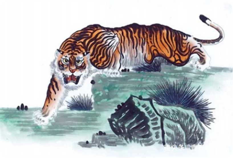 好马有益打一生肖，深度解析与文化寓意