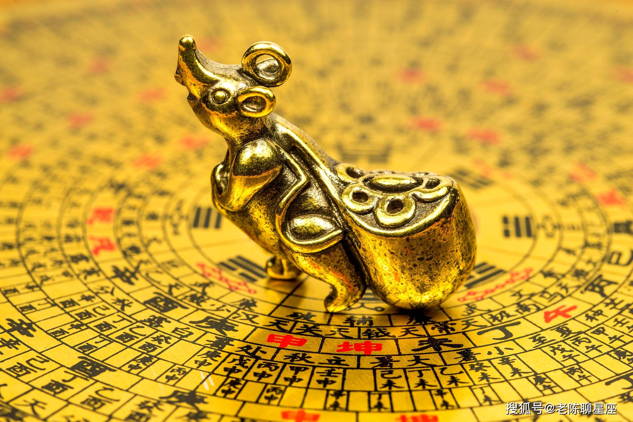 全面揭晓，不设防背后的生肖玄机