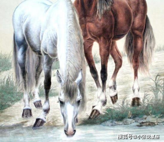 蹄子两边儿打一生肖，解密与定量解释的智慧