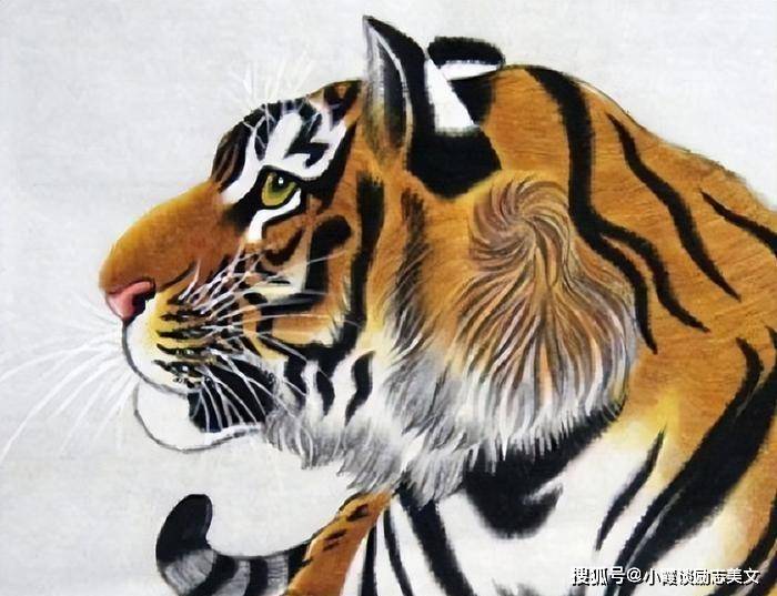 船东打一生肖，揭秘最快解答落实的智慧