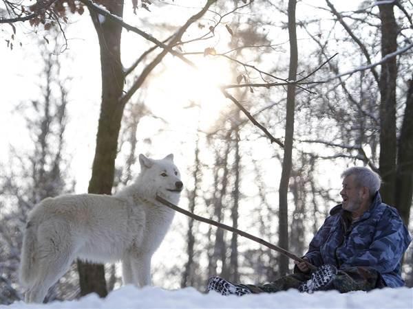 十三生肖有两个打一肖、的动物智慧与战略运用