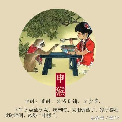 刀耕火耘打一生肖，解密与智慧