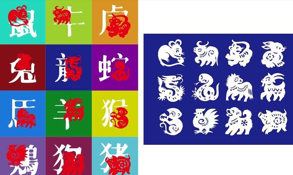 优化大师的智慧，生肖选择与策略落实的艺术