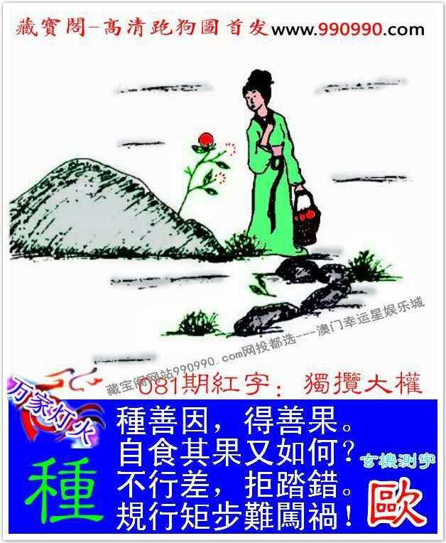 后继有人打一生肖、绝佳解释落实