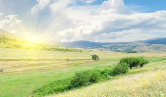 遍山野地打一生肖、揭秘如何选择并落实正确的