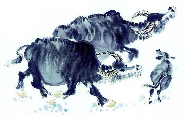 家徒四壁打一个生肖、科技赋能下的传统运动文化新解