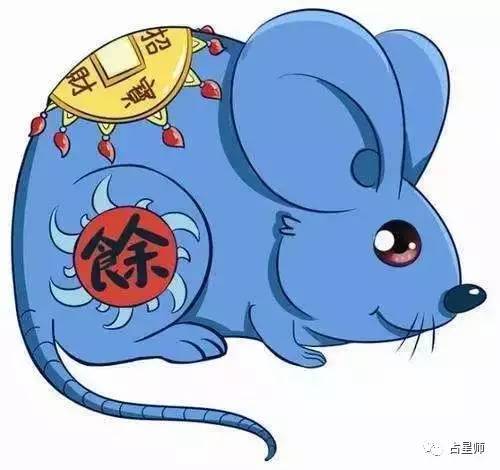 斤斤计较与积极行动的完美结合，生肖鼠的智慧启示