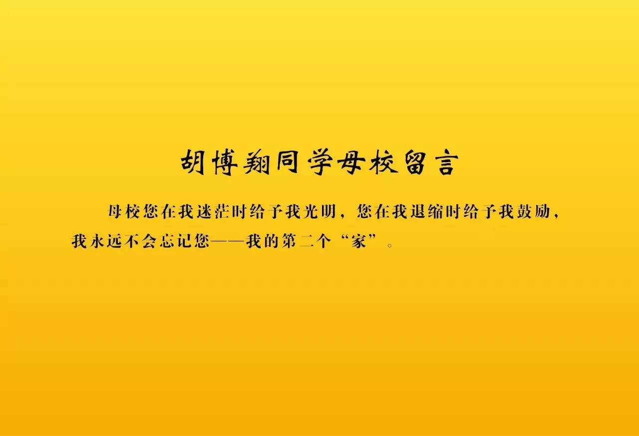 朝朝暮暮话生肖，探寻牛的坚韧与执着