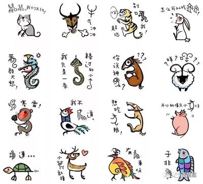 调笑打一生肖，揭秘生肖背后的趣味与智慧