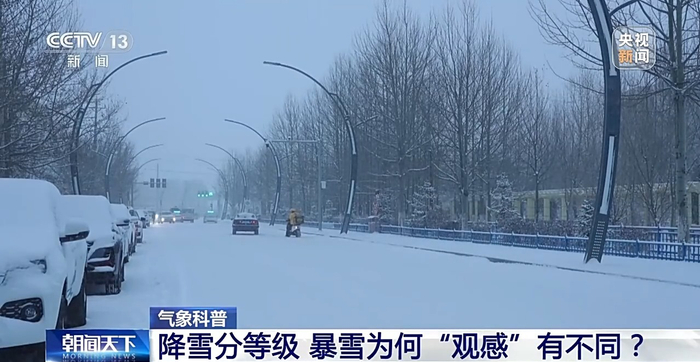 鹅毛大雪中的生肖启示，通用解释与落实行动