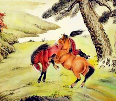 马前兔后，生肖之谜与人生哲理的深刻寓言