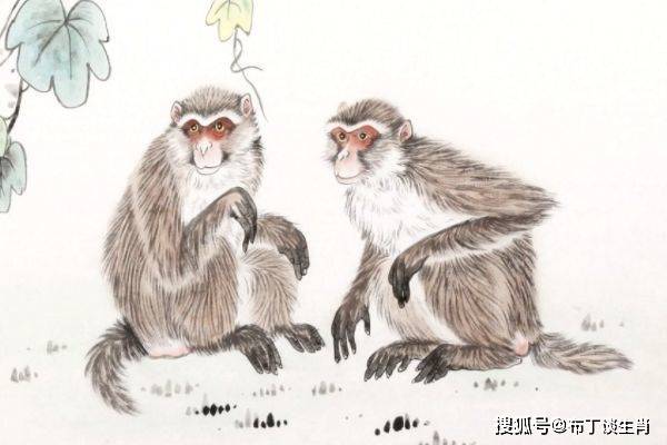 明目张胆打一生肖、通常解释落实