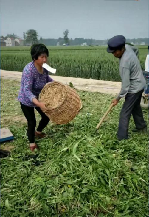 三四牛发财打一生肖、的社会进步与文化解析