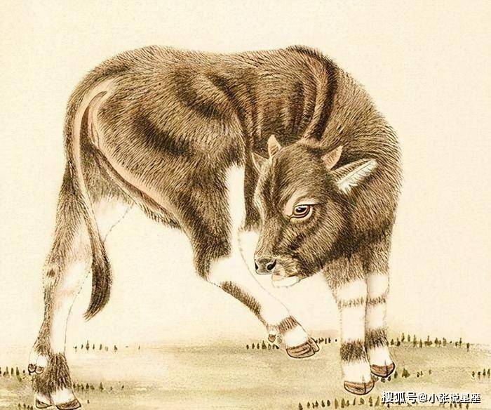 奇人四季肖打一生肖，积极解释与落实的生动实践