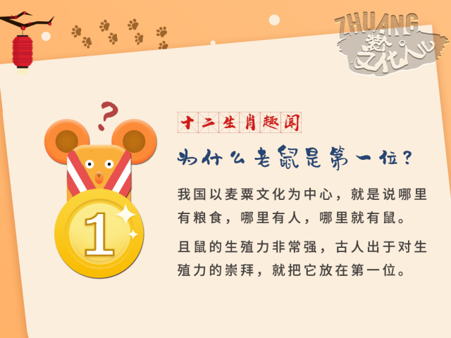 表里如一，生肖之谜—探寻最快解答落实的智慧