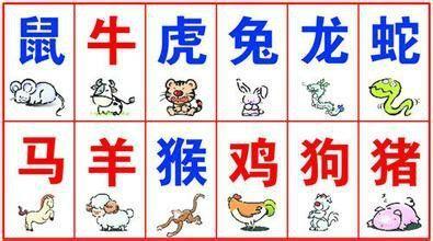 申时贵打一生肖，专业解析与文化解读