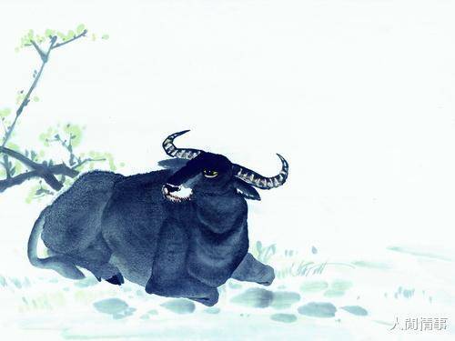 祁寒暑雨话生肖，探寻牛的坚韧与智慧