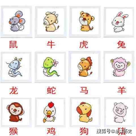 跟踪打一生肖、词语的深层释义与文化解读