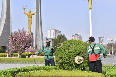 因地制宜打一生肖、奥秘解释落实