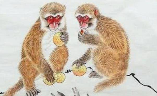 心甘情愿打一生肖一一、通常解释落实