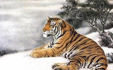 一鸣惊醒打一生肖、成就解释落实