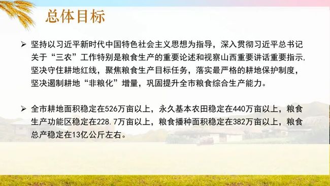 寻水打一生肖、采民作答落实解释