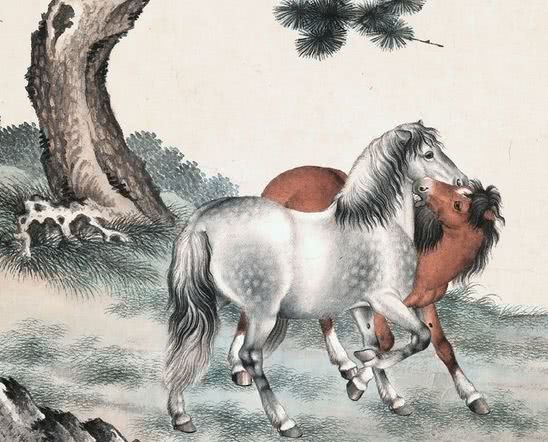 锦绣打一生肖，探寻生肖背后的哲理与智慧