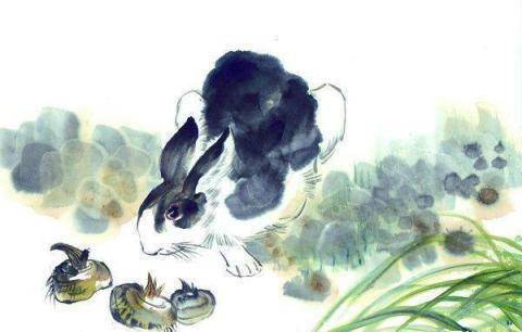 冤家宜解不宜结，生肖中的智慧—以兔为例