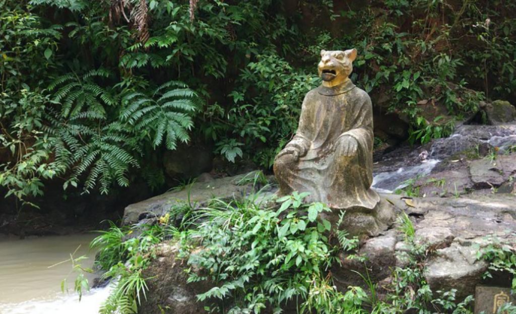 摇摇晃晃打一生肖、背后的智慧与策略