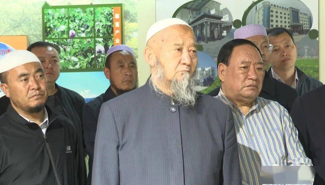 头痒搔跟打一生肖、神秘解释落实