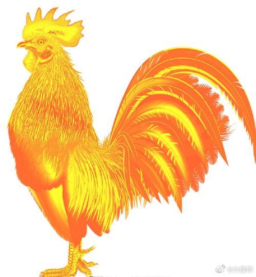 金鸡一唱打一生肖、时代解释落实