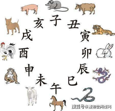 四海九州话团结 揭秘四海九州打一生肖的深层寓意与团结的力量