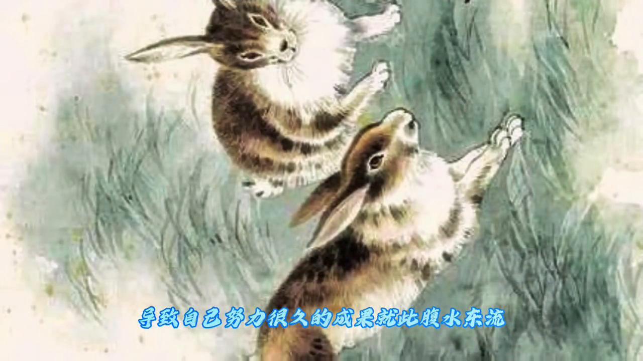 报打一生肖，一场误导解释的落实与反思