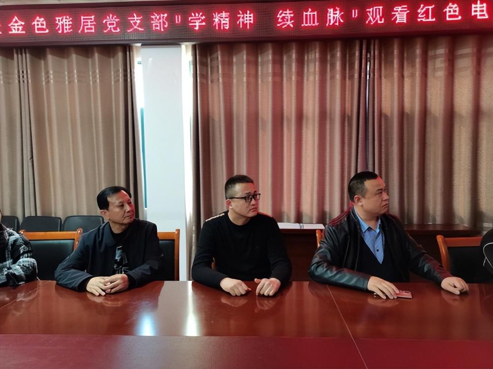 阳关大道与生肖的智慧，以理想为舵，以行动为帆