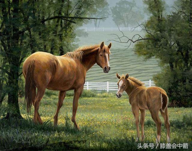 铜锣声中揭秘，如何选择并落实正确的生肖特马