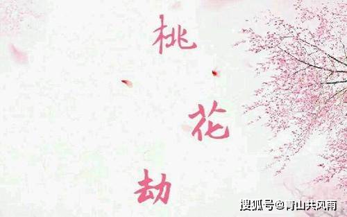 一年才相见打一生肖、一场误导解释的落实与反思