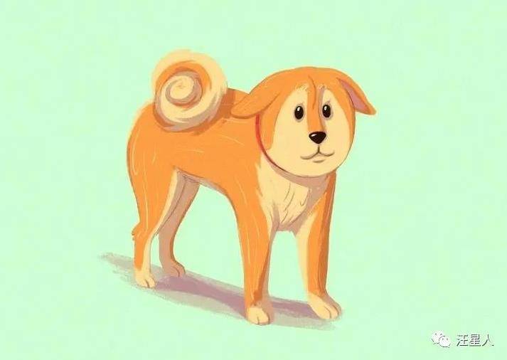 摇头摆尾的生肖智慧与时代解释落实的哲学