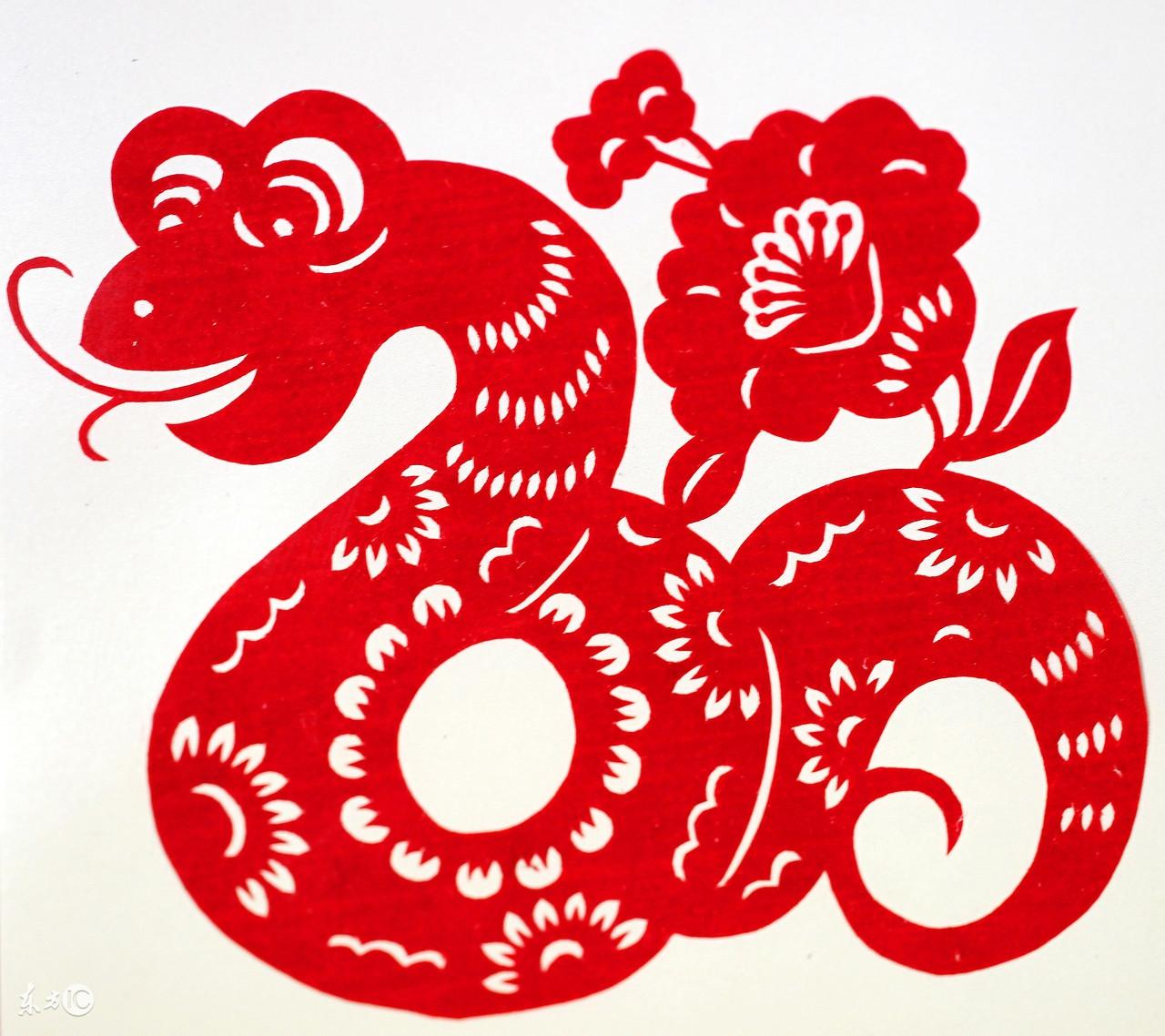 灰心打一生肖，以兔为例，谈激励与行动的落实