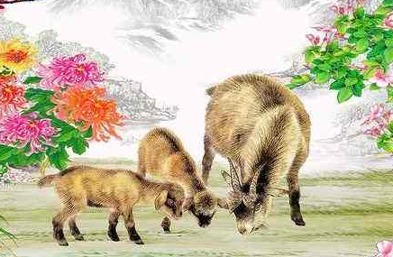 春风乐飘飘，生肖谜中寻—非凡解释与落实的智慧