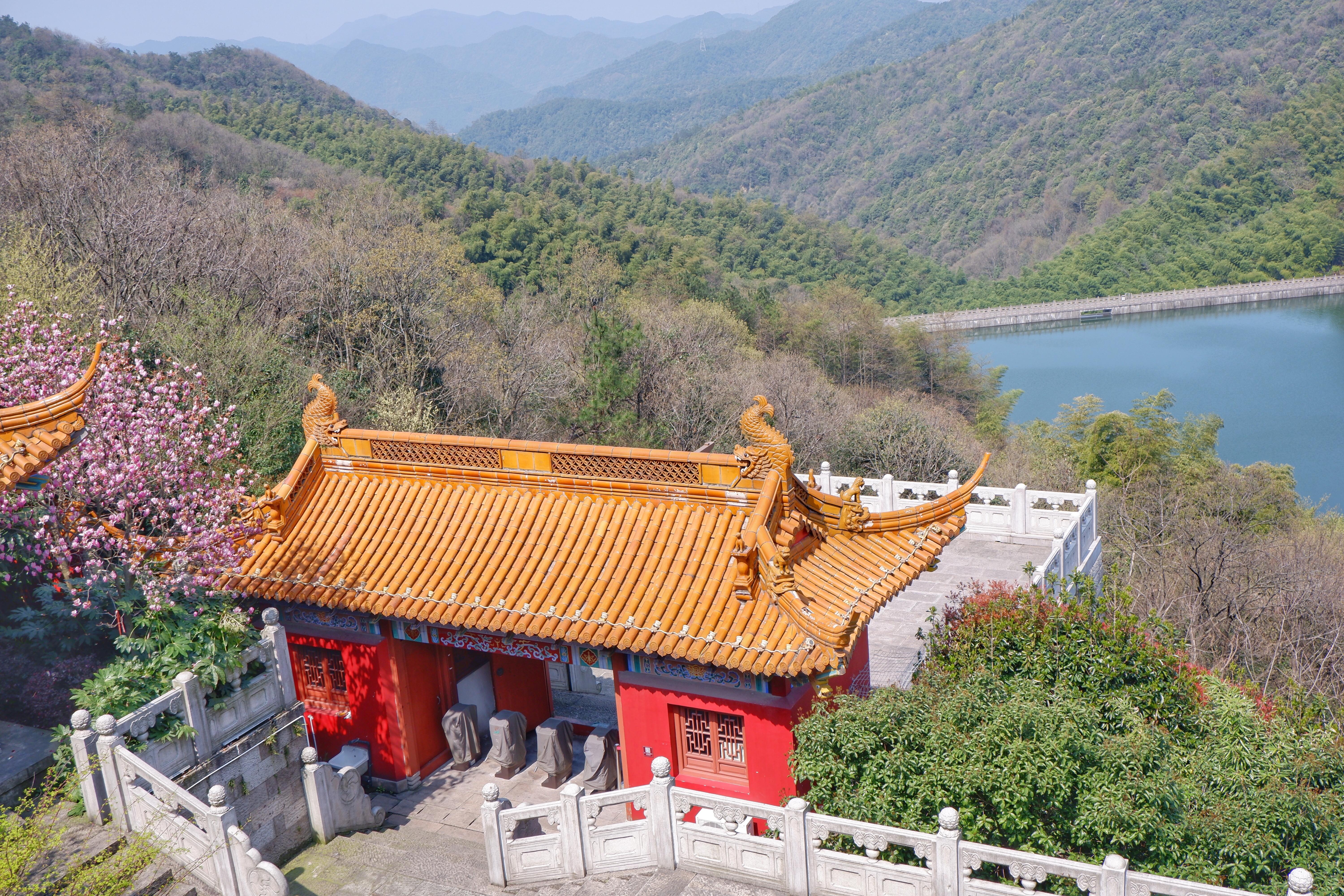 四季劳碌的生肖打一肖、激励作答落实解释