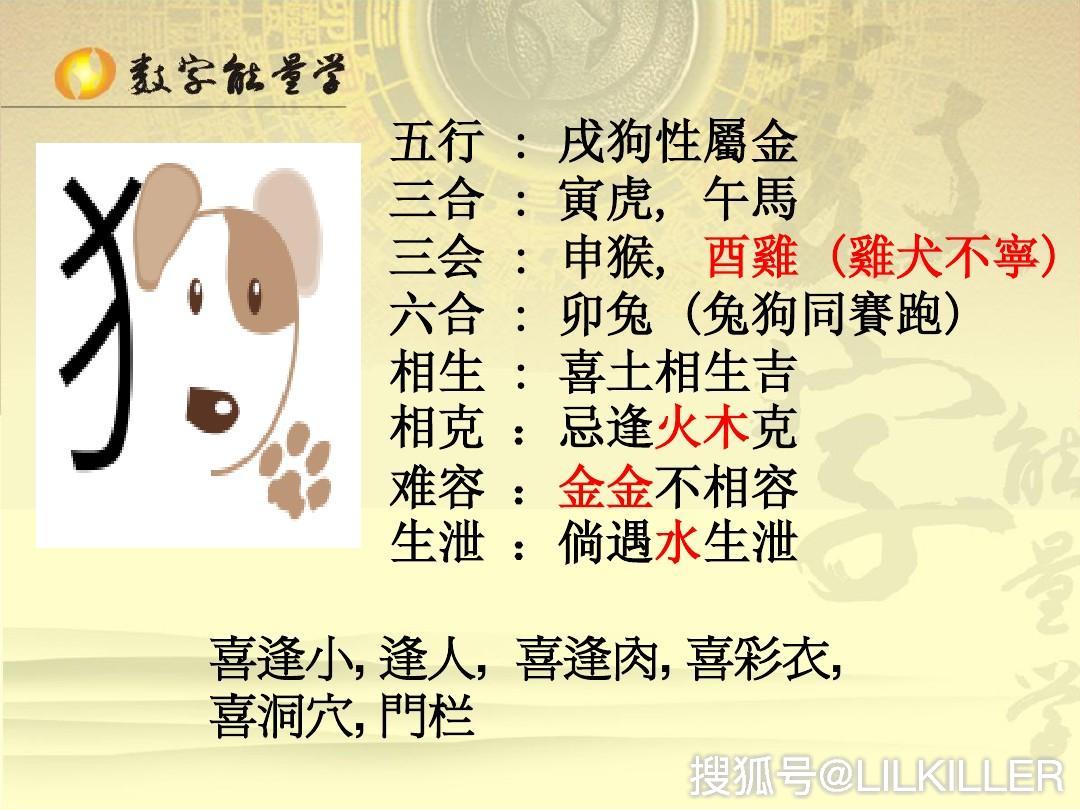 彩衣之谜，生肖探寻与新型作答的智慧