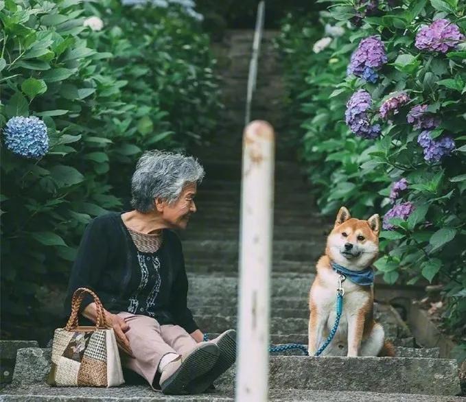 宅字打一生肖，谜底即将揭晓