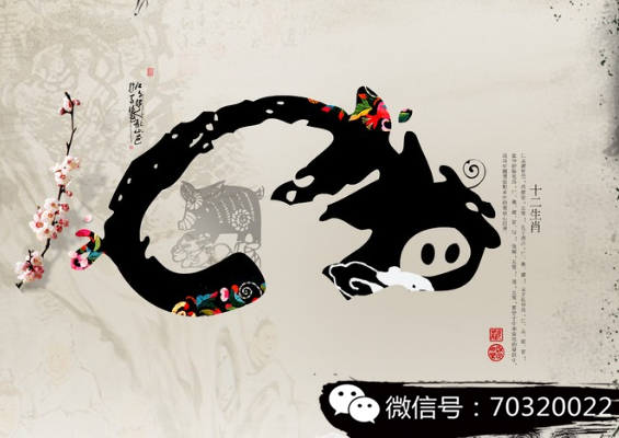 三来六来,生肖之谜—理想与行动的交响曲 三来六来,生肖之谜—理想与行动的交响曲