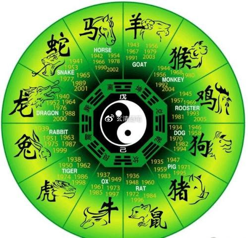 男子地盘打一生肖、深度解析与落实