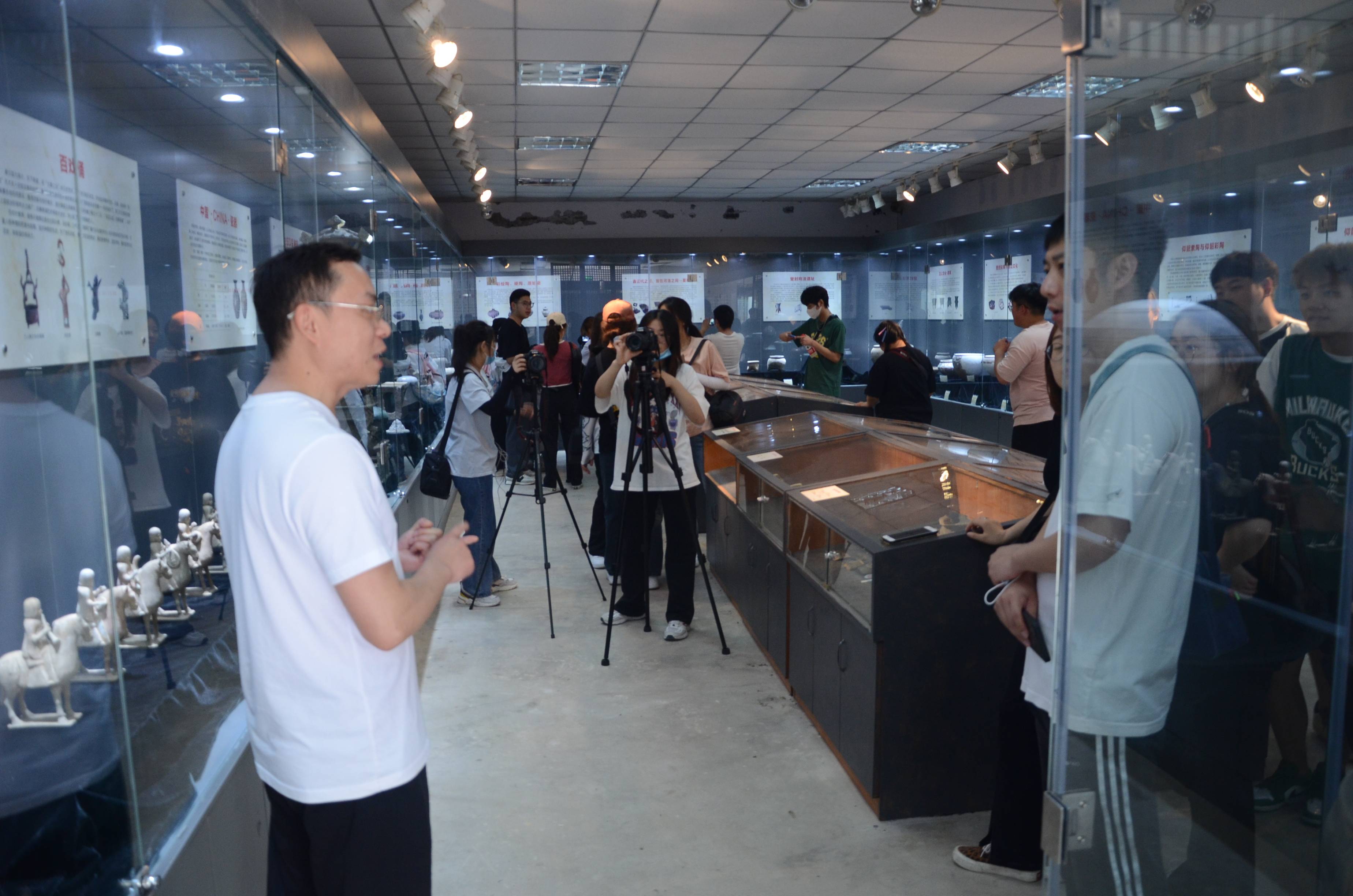 如意打一生肖、积极解释落实