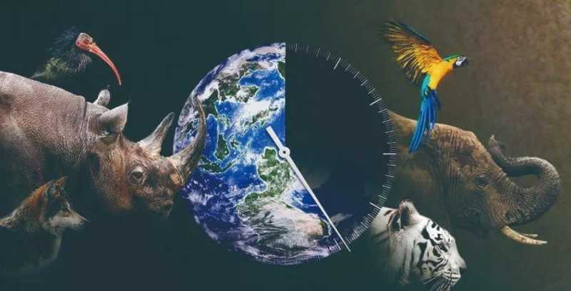 地大物博与生肖数字的奇妙联结，创造、作答与落实的智慧