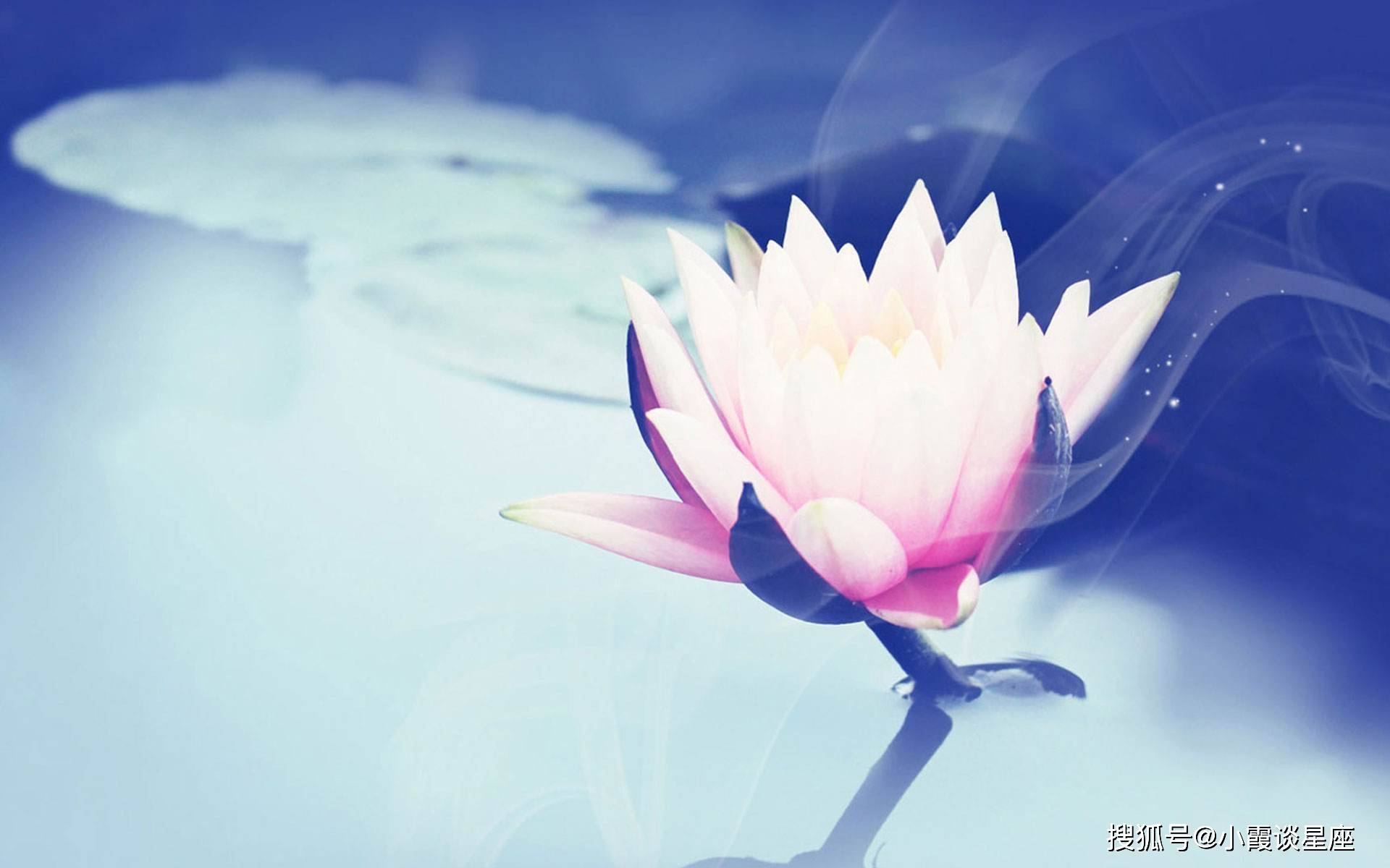 富贵吉祥度眼前打一生肖、背后的坚韧与不屈 富贵吉祥度眼前打一生肖、背后的坚韧与不屈