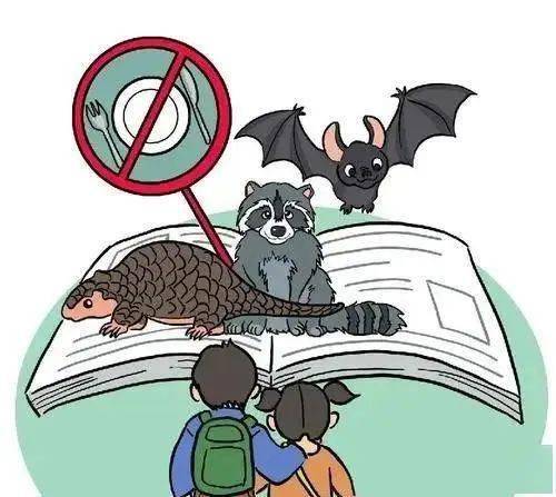 平起平坐打一生肖、落实相信的解释