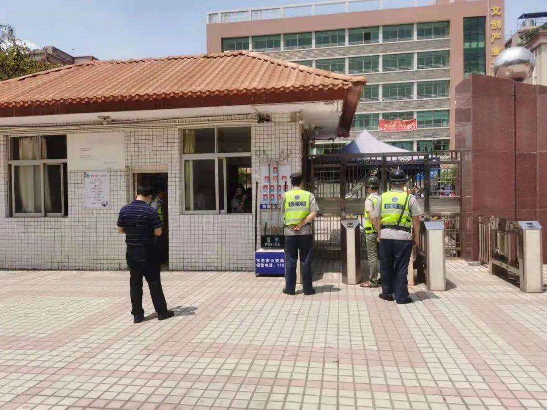 水泥打一生肖、与积极行动的完美结合