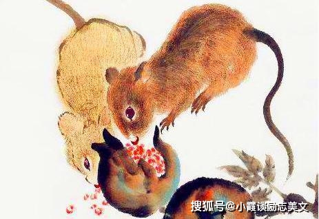 夜夜笙歌中的坚韧与不屈—生肖之鼠的传奇